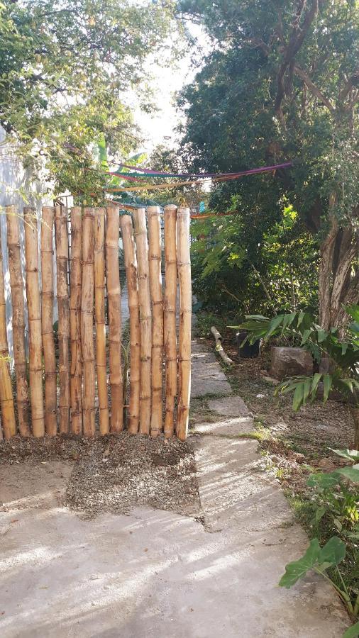 Meanwhile In Veracruz Exterior foto